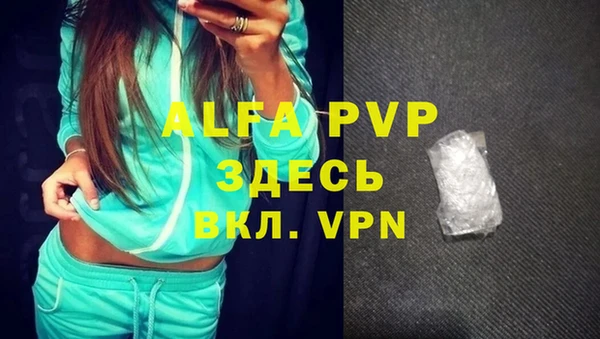 стаф Алексеевка