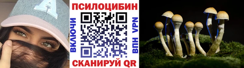 Псилоцибиновые грибы Psilocybe  наркота  Нестеров 